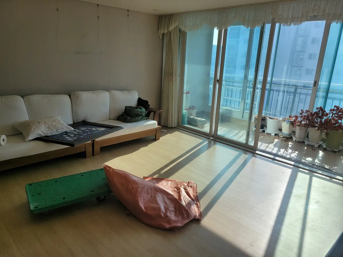 햇빛 드는 거실 소파 앞에 펼쳐 둔 자루